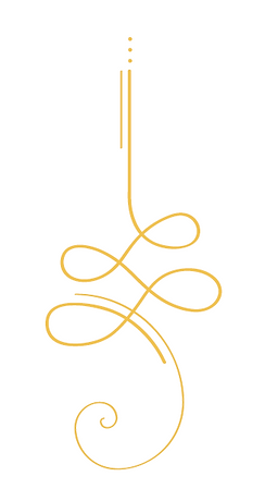 Logo Mapi.png