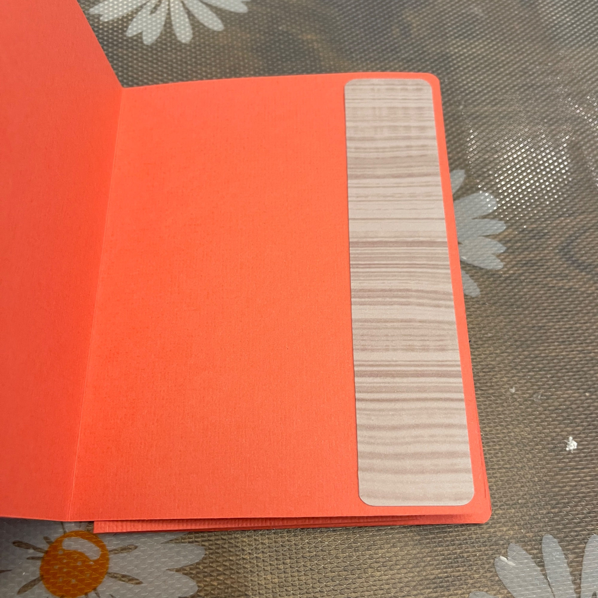 Orange Shells Unique Handmade Greeting Cards Notecards