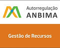 Selo-Anbima-gestao-de-recursos.jpeg