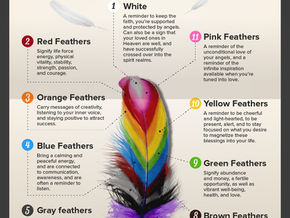 Finding Feathers - What Does It Mean?