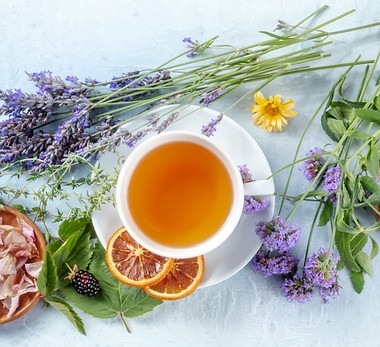 Plant Medicine Pic.jpg