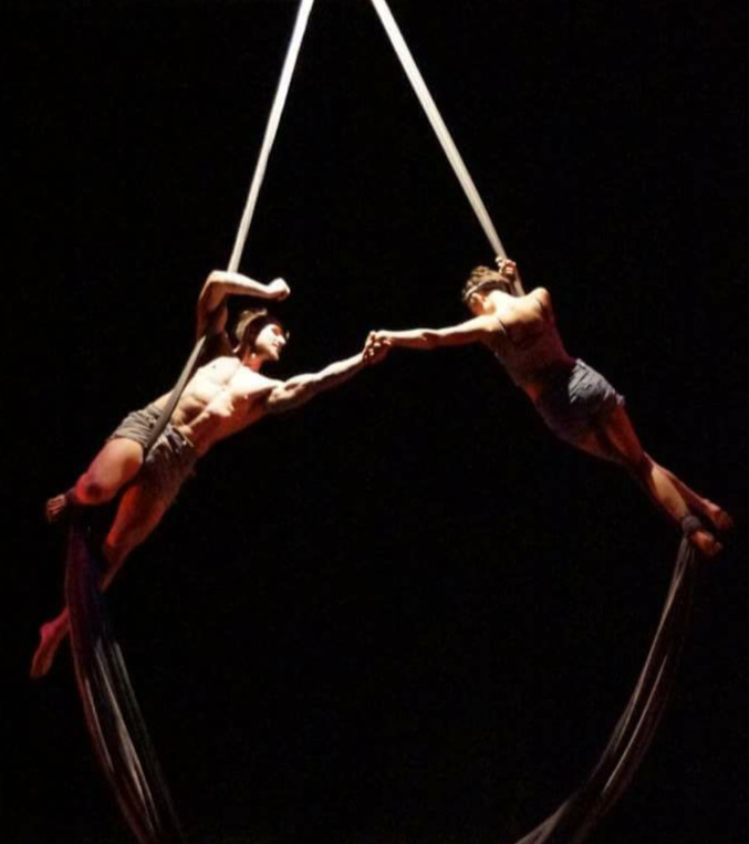 Partner Silks