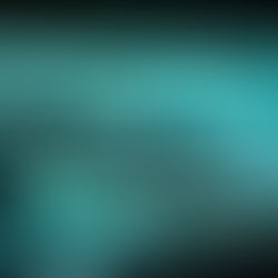 Critical Information Infrastructure - Securing the Building Blocks of 21st Century Society