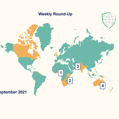 Weekly Round-Up