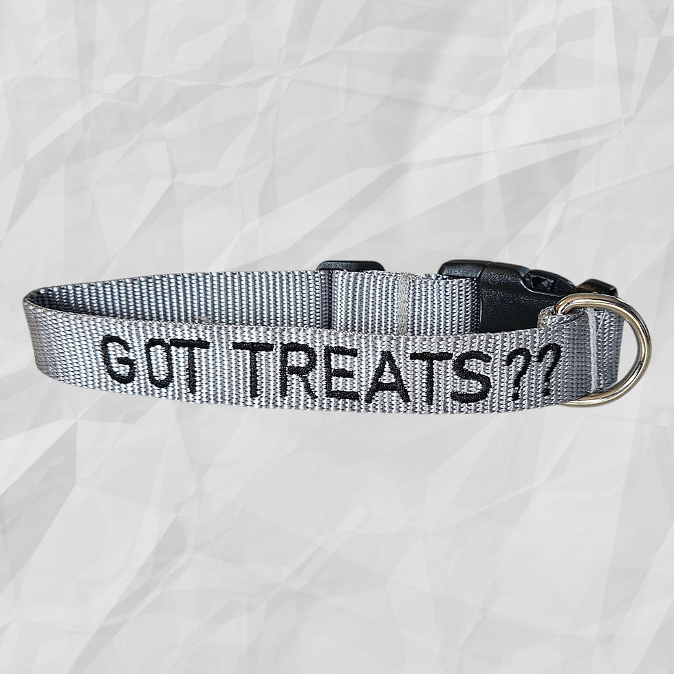 Thumbnail: Dog Collar with Sayings