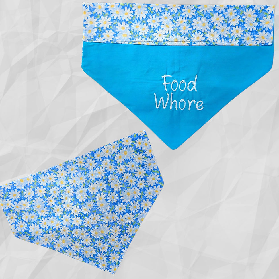 Thumbnail: Over-the-Collar Dog Bandana with white daisies on blue t fabric that says Food Whore on a solid sky blue background