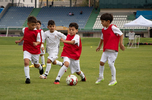 _MG_1345 (Optimized).jpeg