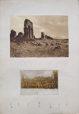 bucolic copy.jpg