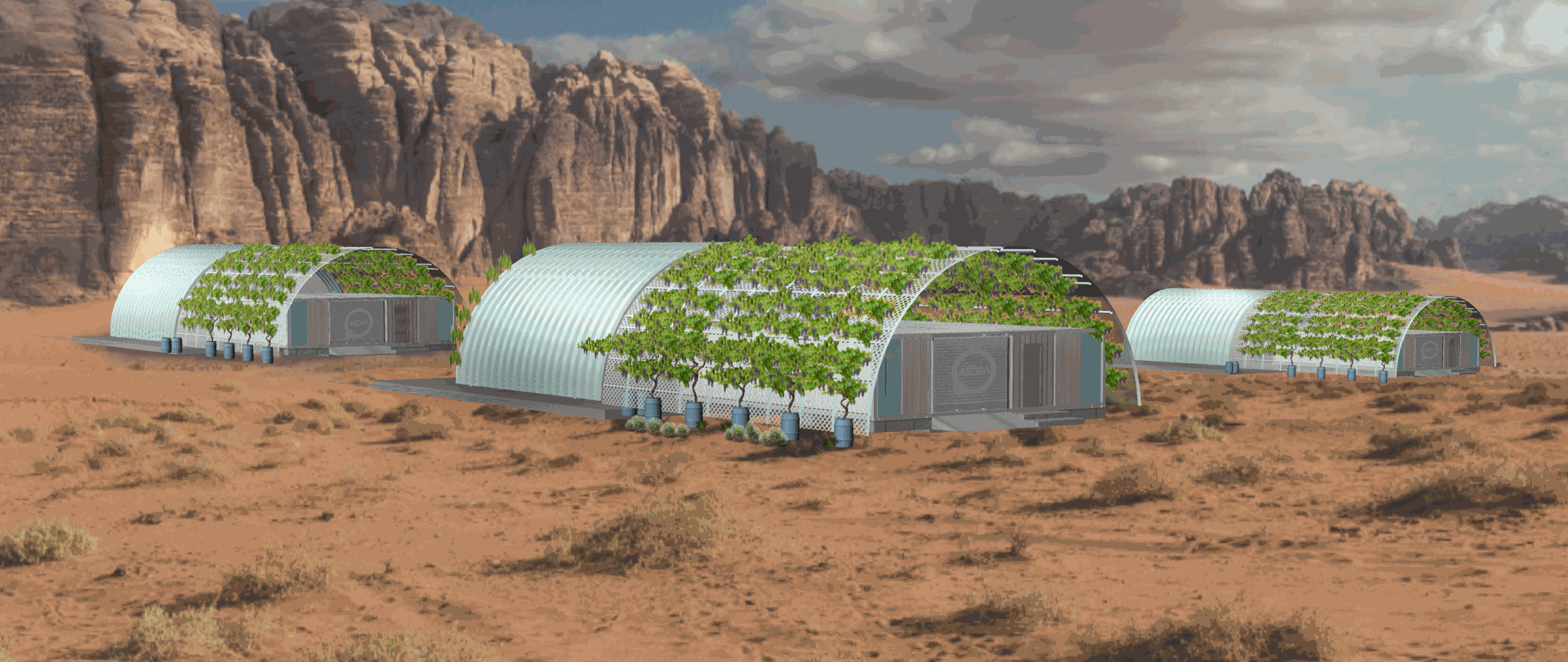 ATOM - SHROOMZILLA DESERT MASTER.gif