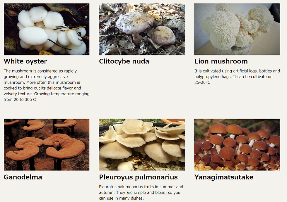 Thumbnail: Shroomzilla Mushroom Factory