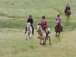 Horse Riding.jpg