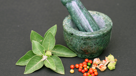 Die Wahrheit über Ashwagandha als Nahrungsergänzungsmittel