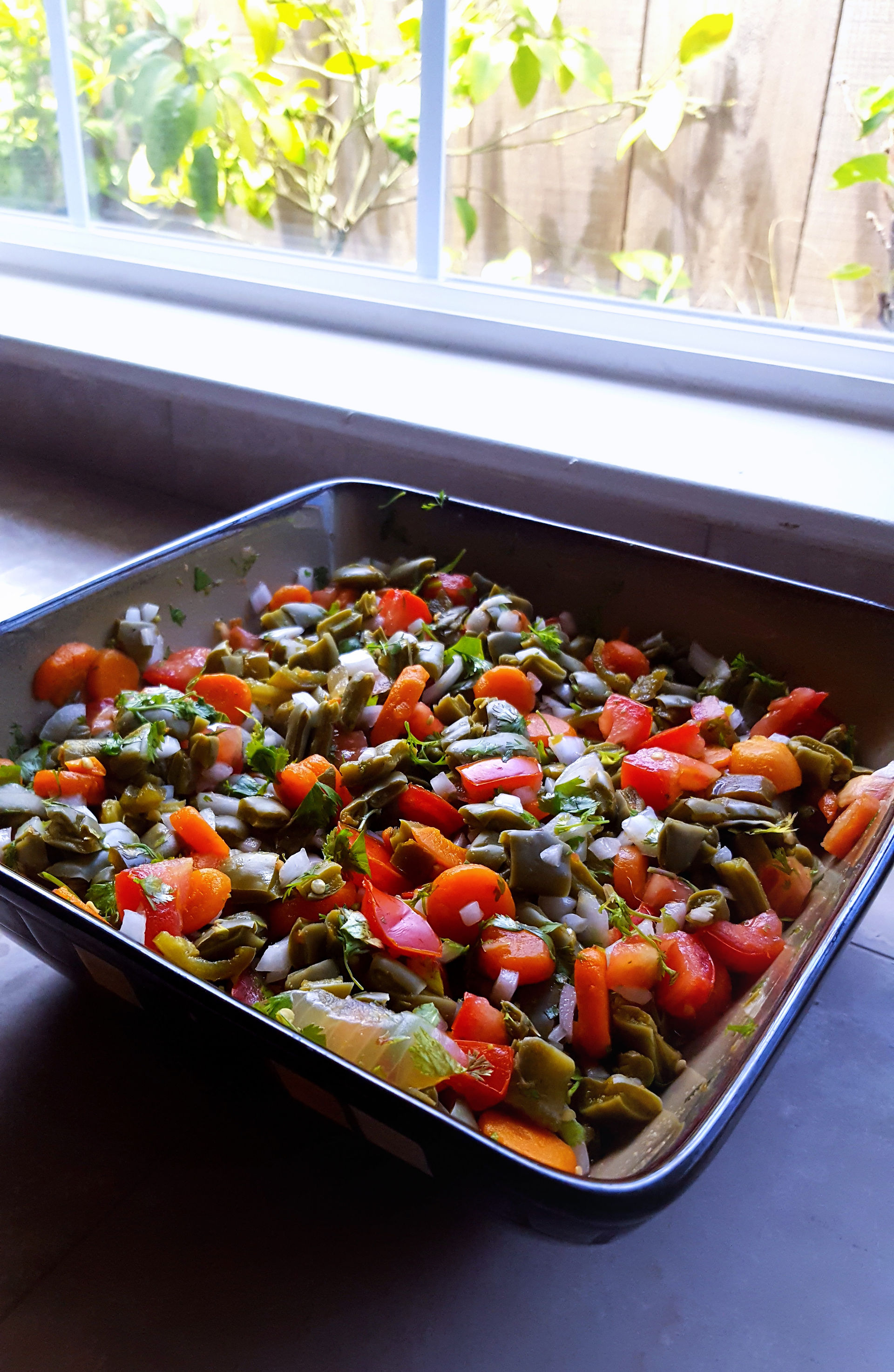 Appetizing nopal salad 