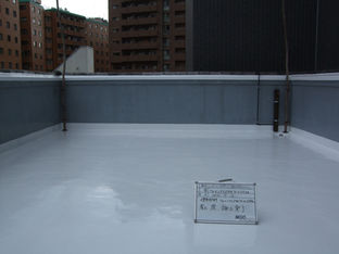 カラープライマー+ ガラスコーティング
京都府京都市下京区
【屋上】の施工事例