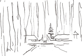 Wald Muster 49x63.jpeg