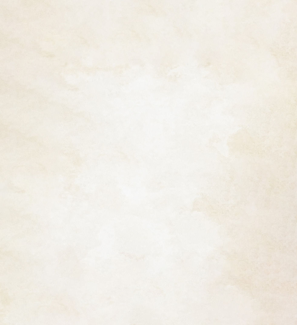 cocoiro_web_img_back01.jpg