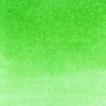 047_MAY GREEN