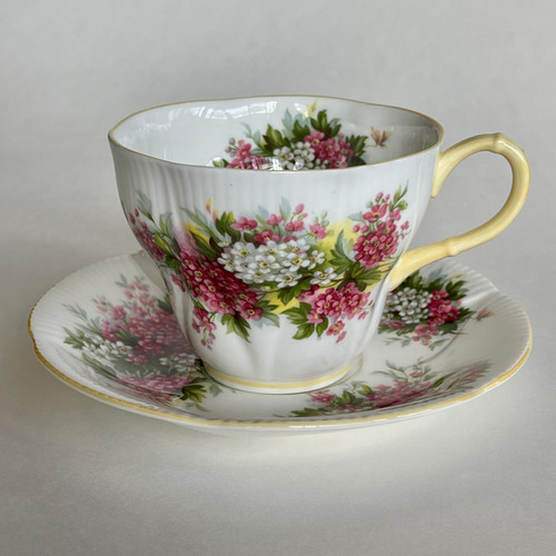 Royal Albert Blossom Time Series Hawthorn Cup and Saucer Set
