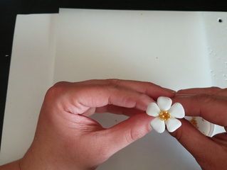 How To Make Simple Filler Sugar Flowers