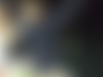 5月31日イカメタル、バチコン