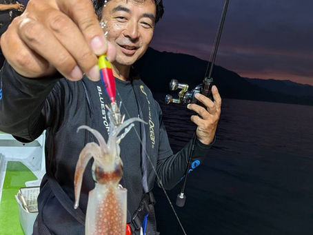 🎣【7月14日 イカメタル釣果】🦑