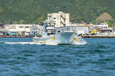 s-写真 2024-05-27 7 31 20.jpg
