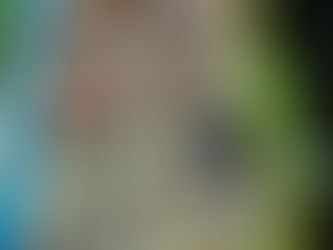 🔥8月18日 イカメタル・バチコン釣果🔥