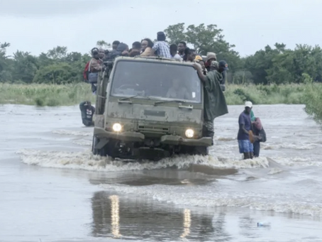 Sunday Summary January 18th - Two News Excerpts of Southern Africa 