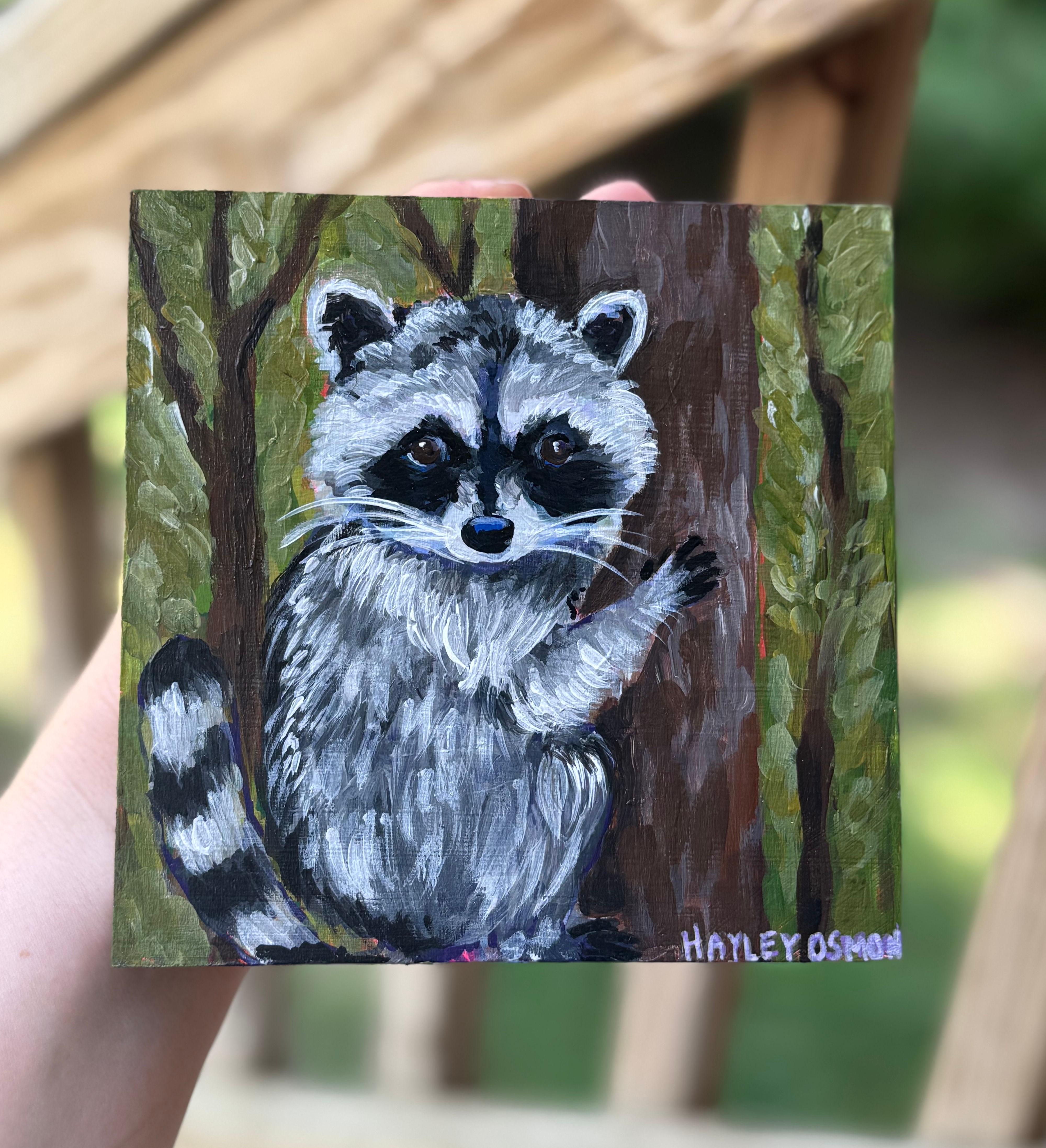 Trash Panda – Raccoon Mini Painting | Original Wildlife Acrylic Art