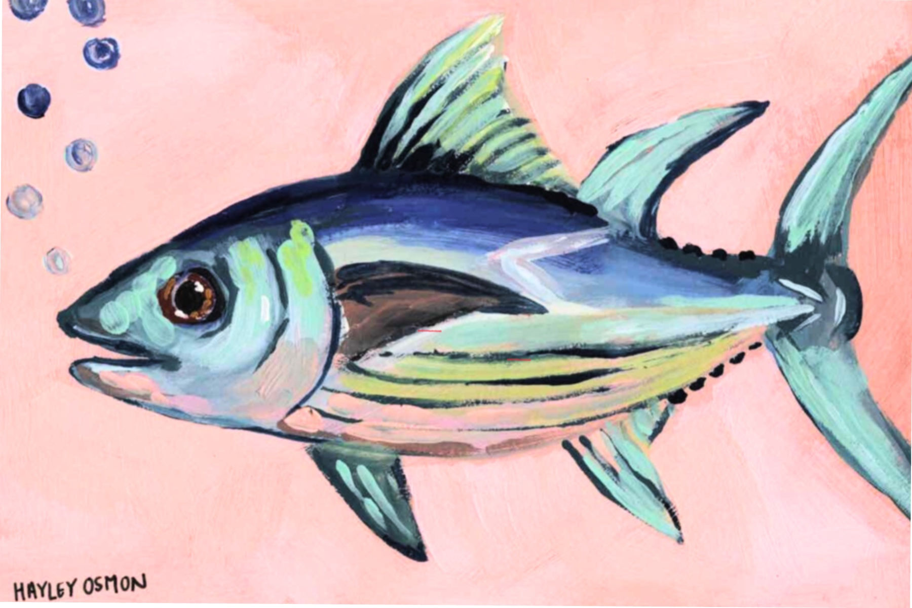 some fish - artwork