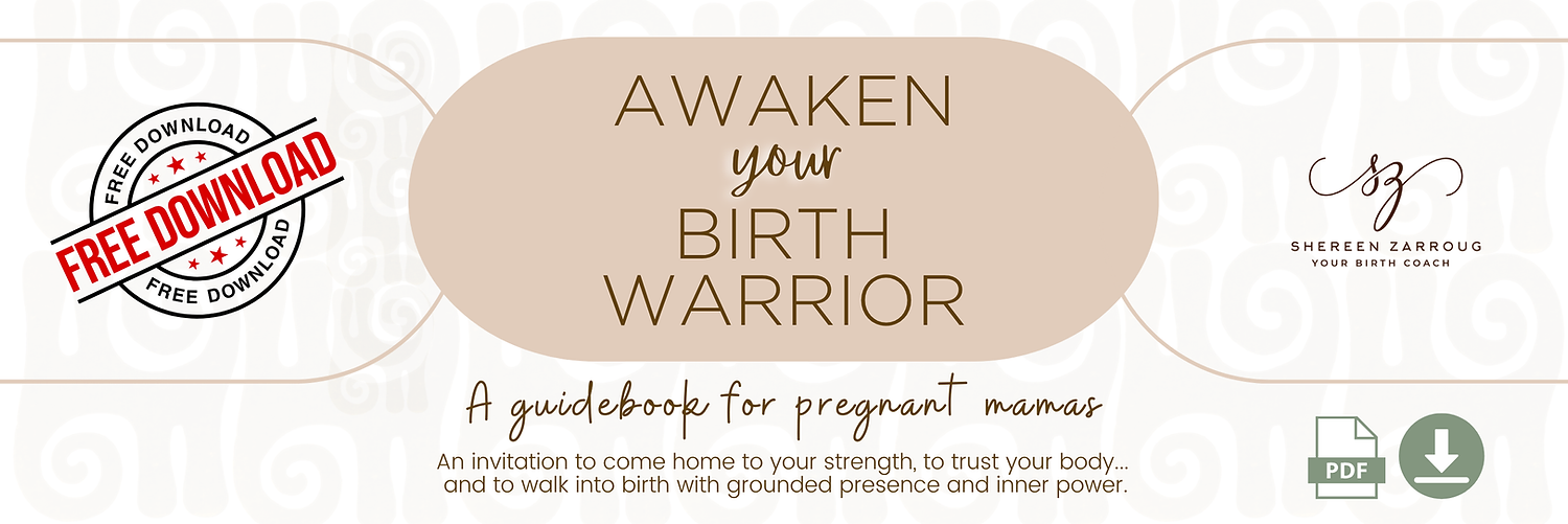 BANNER - Awaken Your Birth Warrior GUIDEBOOK (2).png