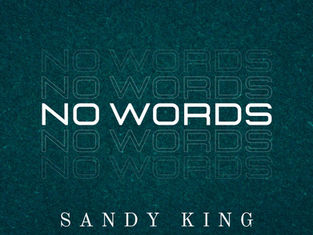 Lightning Lyricism: 'No Words' connects with you through its verses