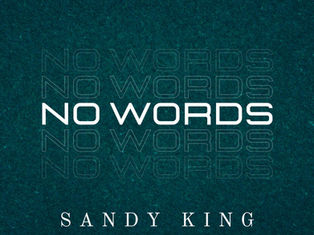 Lightning Lyricism: 'No Words' connects with you through its verses