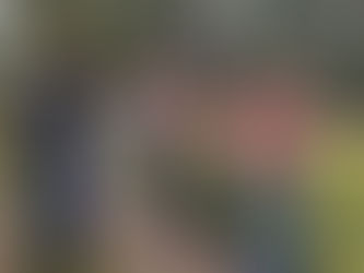 A Xunta financia traballos arqueolóxicos no castro da Croela (Trazo)