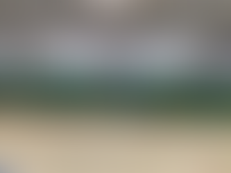 Multitudinaria festa de peche do curso das actividades municipais en Mesía