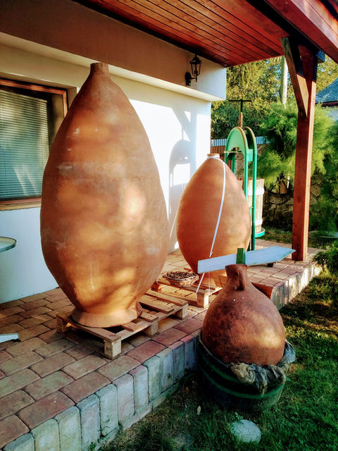 Tokajská vínna cesta