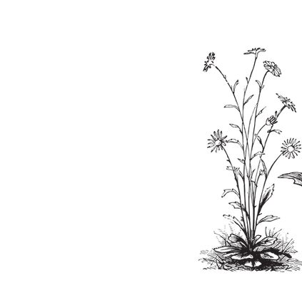 Untitled design-8 2.png