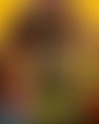 Pixar estrena 'Hoppers: Operación Castor'