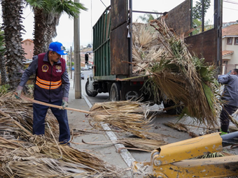 Impacta Gobierno Municipal a más de 15 mil ciudadanos con acciones del programa ‘Tijuana: Ciudad Limpia’
