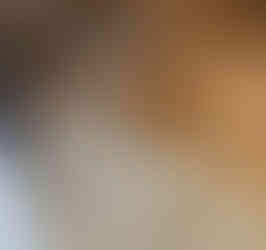 renovation-dust-removal-gta-beeclean