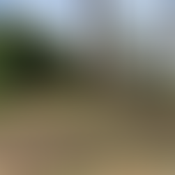 横地城 中の城 主曲輪