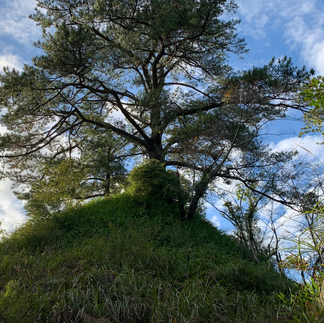横地城 東の城 主曲輪