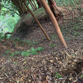 横地城 西の城 大堀切