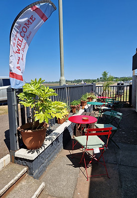 back garden.jpg
