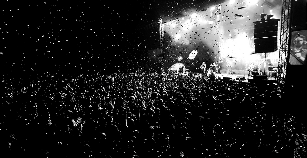 Concert Crowd Scene
