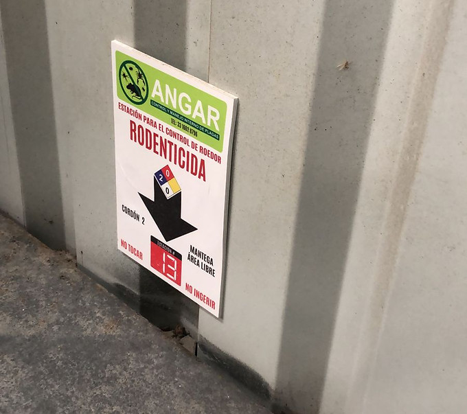 WhatsApp Image 2025-11-20 at 12.48.34.jpeg