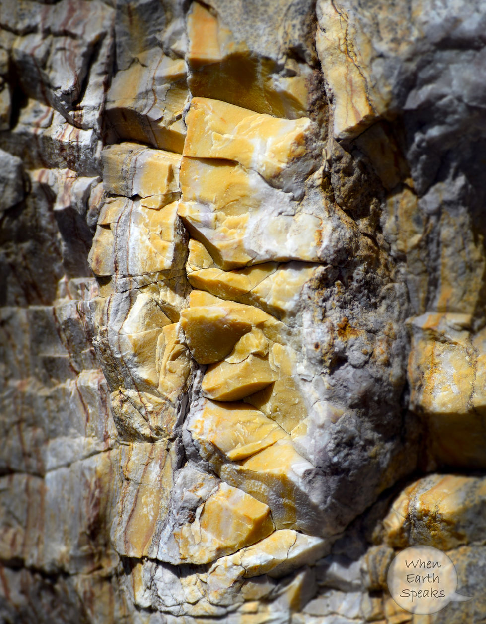 Abstract Bold Bee Cottonwood Pin.jpg