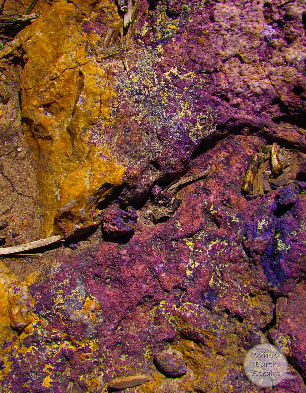 Royal Gold and Purple Pin