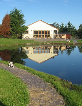 Screenshot_2020-03-05 Dragonfly Fishery.