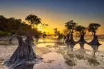 walakiri beach.webp